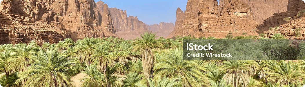 Desert oasis with palm trees and red rock cliffs